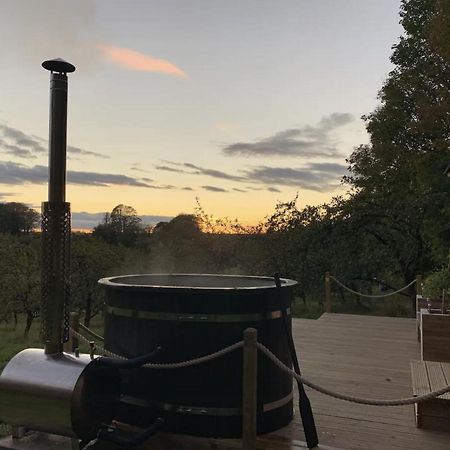 多切斯特Orchard Retreat Off Grid Shepherds Huts In Dorset公寓 外观 照片