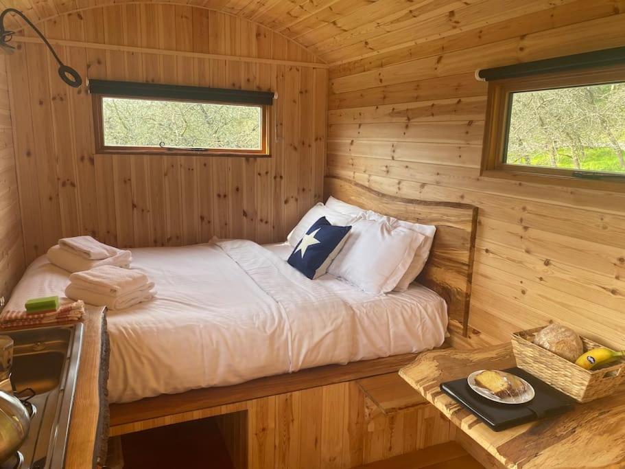 多切斯特Orchard Retreat Off Grid Shepherds Huts In Dorset公寓 外观 照片