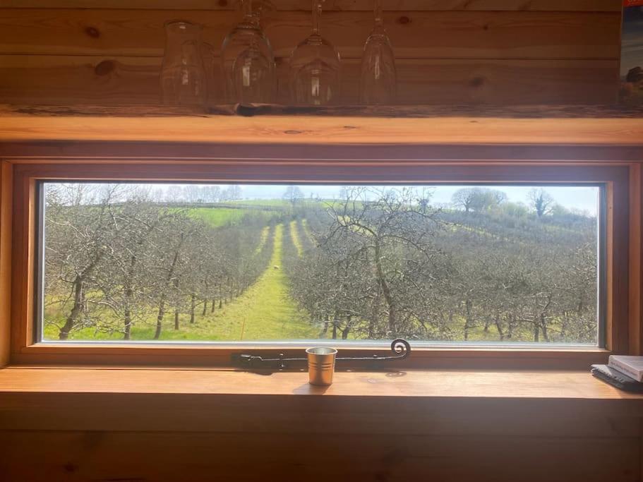 多切斯特Orchard Retreat Off Grid Shepherds Huts In Dorset公寓 外观 照片