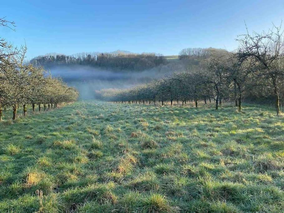 多切斯特Orchard Retreat Off Grid Shepherds Huts In Dorset公寓 外观 照片