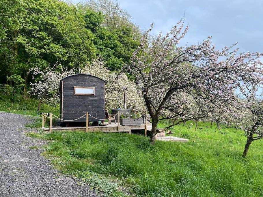 多切斯特Orchard Retreat Off Grid Shepherds Huts In Dorset公寓 外观 照片